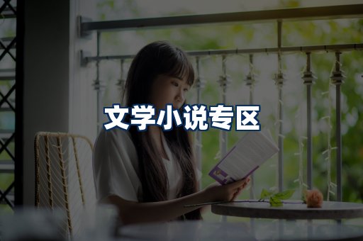 文学小说PDF展示